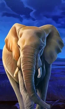 African Elephant